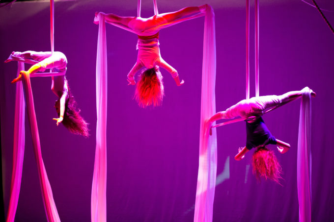 The Circus Project 5